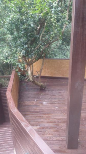 Casa na barra da lagoa